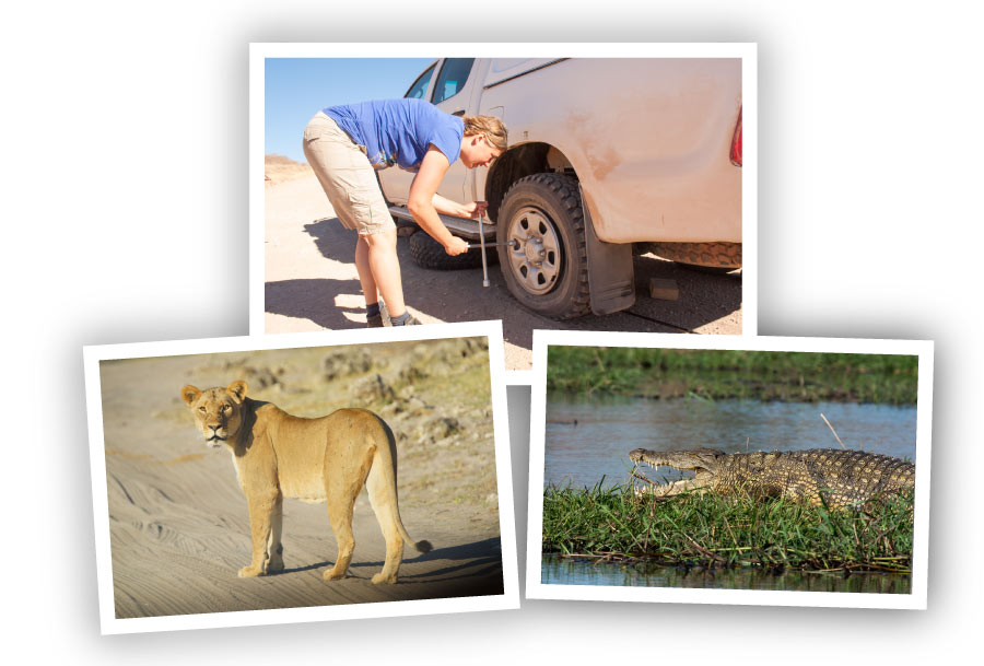Explore-Botswana-autoverzekering_07