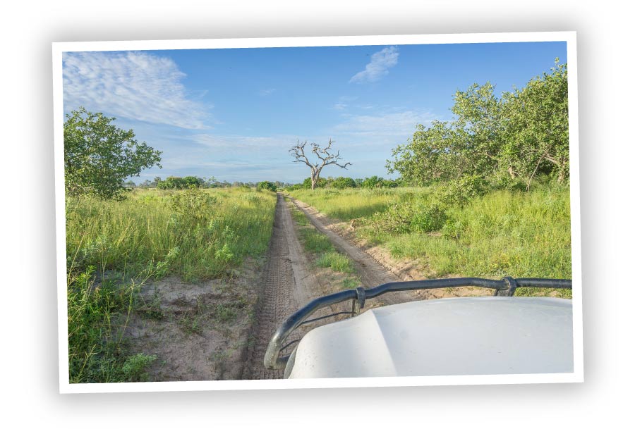 Explore-Botswana-spektakuläre Allrad-Touren durch Botswana