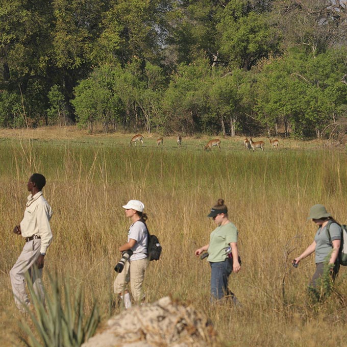 Explore-Botswana-route_Combi_Namibia_Okavango_Delta_06