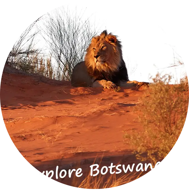 4x4-autohuur-self-drive-safari-botswana-ANVR-SGR