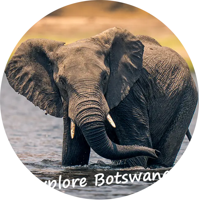4x4-autohuur-self-drive-safari-botswana-reizigers-feedback