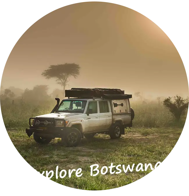 Autohuur-Botswana-Self-Drive-Safari-Autoverzekering