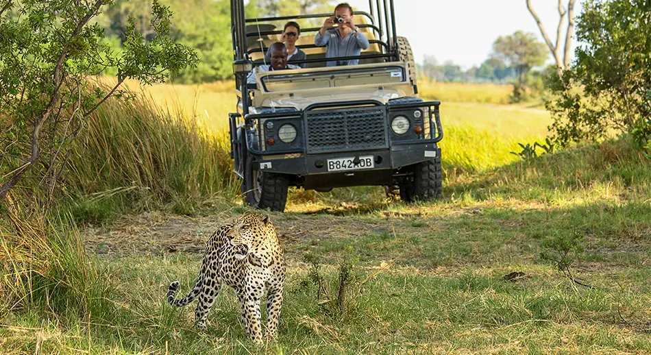 Explore-Botswana-Self-Drive-Safari-Reizen-in-Botswana-Beste-Reisperiode