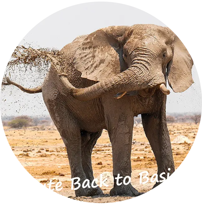 Self-Drive-Safari-4x4-Autohuur-Botswana-Route-Back-to-Basics