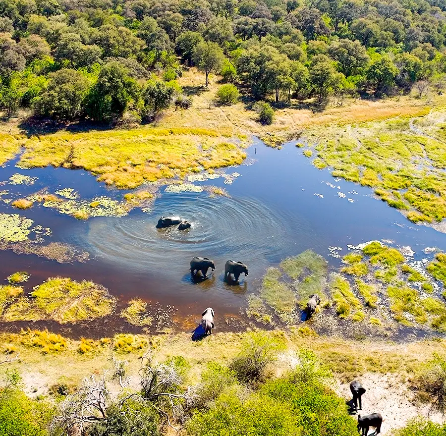Self-Drive-Safari-4x4-Autohuur-Botswana-Route-Hoogtepunten