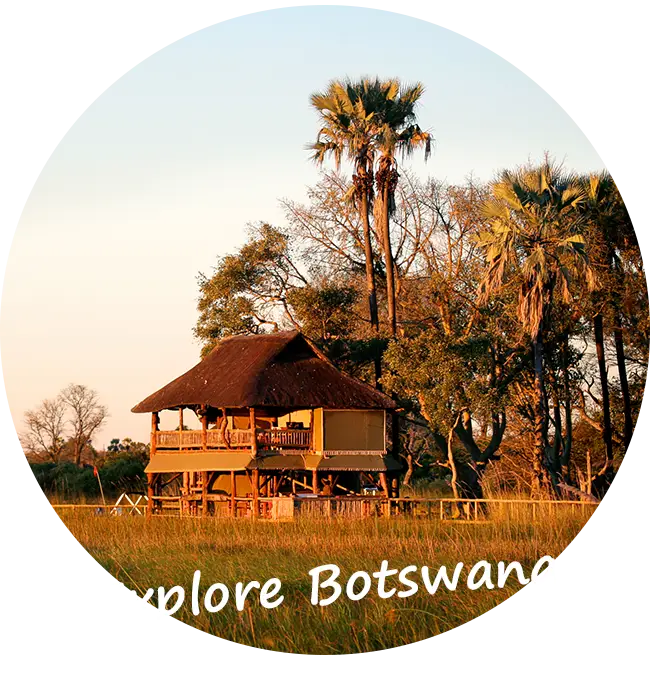 Self-Drive-Safari-Praktische-informatie-Botswana